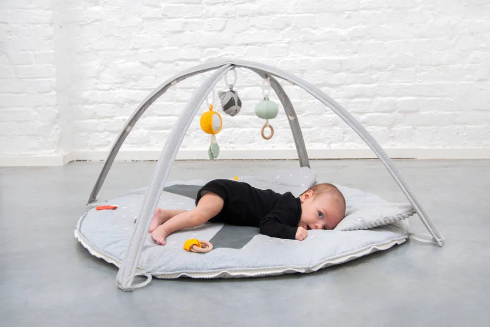 Activiteiten Speelmat Met Babygym, Mr. Raccoon van Trixie Baby - My Little Carpet
