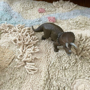 Vloerkleed/Speelkleed Path Of Nature van Lorena Canals - My Little Carpet