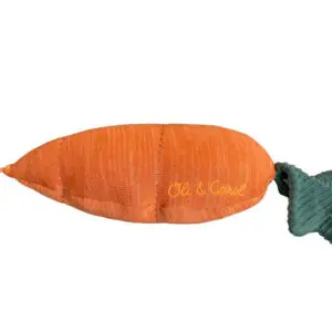 Gebreid Kussen Cathy the Carrot – My Little Carpet