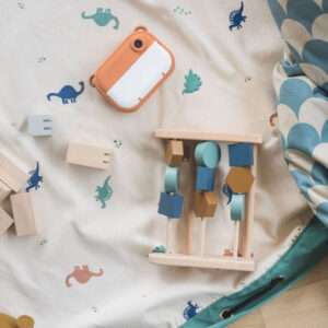 Speelkleed/Speeltas Dino van Play and Go - My Little Carpet